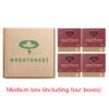 Organic MASTIC MINT Miracle Remineralizing Chewing Gum